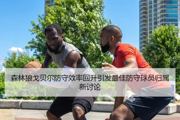 森林狼戈贝尔防守效率回升引发最佳防守球员归属新讨论