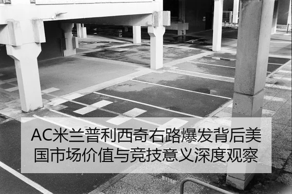 AC米兰普利西奇右路爆发背后美国市场价值与竞技意义深度观察 - leyu