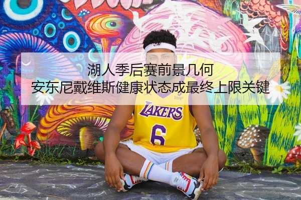 湖人季后赛前景几何 安东尼戴维斯健康状态成最终上限关键 | leyu