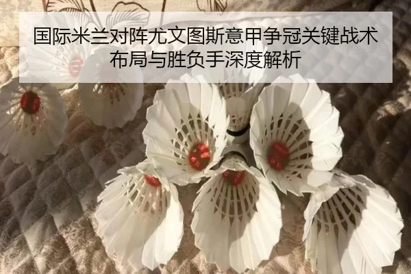 国际米兰对阵尤文图斯意甲争冠关键战术布局与胜负手深度解析
