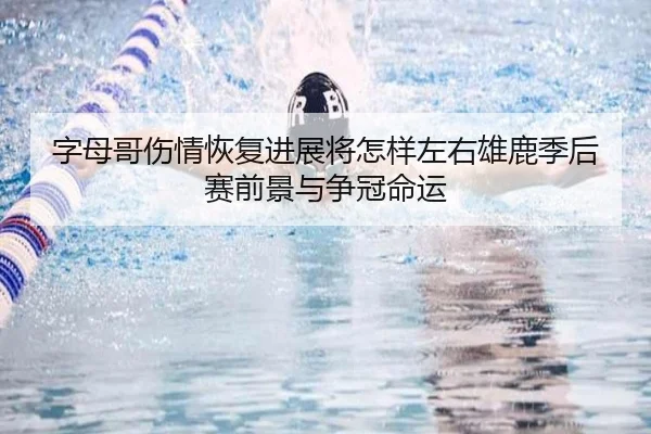 字母哥伤情恢复进展将怎样左右雄鹿季后赛前景与争冠命运