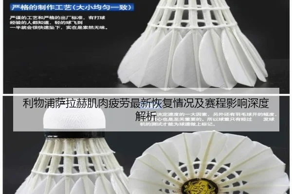 利物浦萨拉赫肌肉疲劳最新恢复情况及赛程影响深度解析
